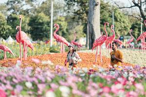 BIB: 
                            <button type="button" onclick="openModal(27344225)" class="btn btn-primary btn-sm float-right btn-popup" data-toggle="modal" data-target=".modal-high-quality">
                        <i class="fas fa-shopping-cart"></i> Add to Cart
                    </button>
                                            <button type="button" onclick="isThisMe(27344225, true)" class="btn btn-success btn-sm float-right btn-popup btn-isme hidden" data-toggle="tooltip" data-placement="bottom" title="นี่คือรูปของคุณใช่ไหม คลิกที่นี่เพื่อเอาเข้าอัลบั้ม">
                        <i class="fas fa-plus"></i> Add to album
                    </button>
                    <button type="button" onclick="isThisMe(27344225, false)" class="btn btn-warning btn-sm float-right btn-popup btn-isnotme hidden">
                        <i class="fas fa-ban"></i> Remove from album
                    </button>